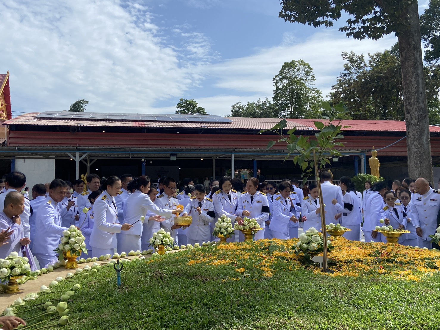 title - วันที่ 10 กรกฎาคม 2569 ณ วัดศรีเงินเจริญสุข ตำบลโนนห้อม อำเภอเมืองปราจีนบุรี จังหวัดปราจีนบุรี นายวิทูล ประดิษฐบุญ ปฏิรูปที่ดินจังหวัดปราจีนบุรี มอบหมายให้ ข้าราชการ และเจ้าหน้าที่ ส.ป.ก.ปราจีนบุรี เข้าร่วมพิธีปลูกพระศรีมหาโพธิทศมราชบพิตร